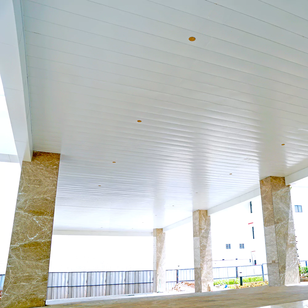 Linear Ceiling 300S