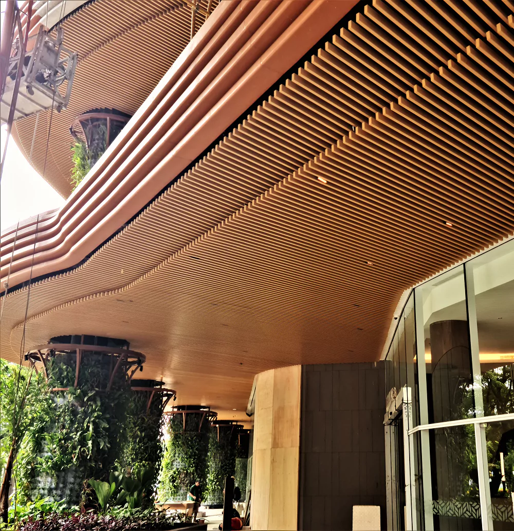 Plank Ceiling